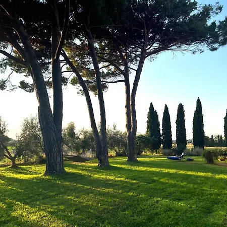 Holiday home Chiusagrande *