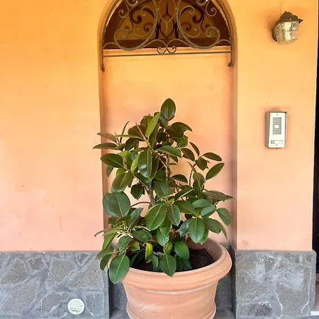 Chiusagrande * Campiglia Marittima